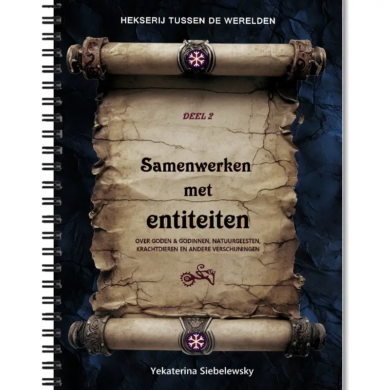 Boek 'Samenwerken met entiteiten' van Heggemoeder