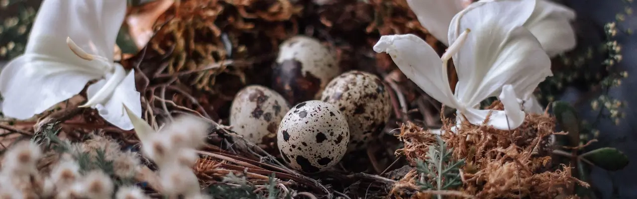 Ostara, een nestje vol met eieren