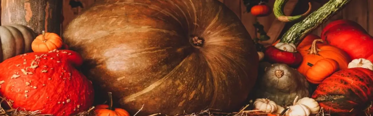 pompoenen voor het jaarfeest Samhain