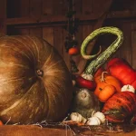 samhain vieren in hekserij - pompoenen